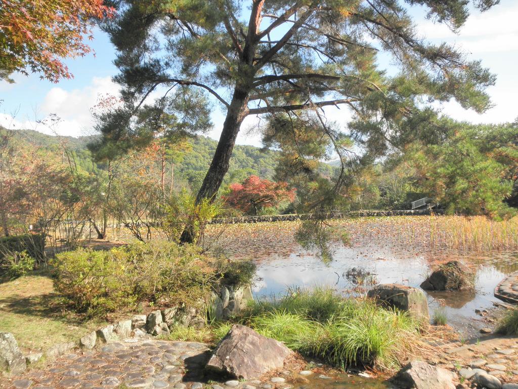 Maple Inagawa Hotel Kawabe  Екстериор снимка