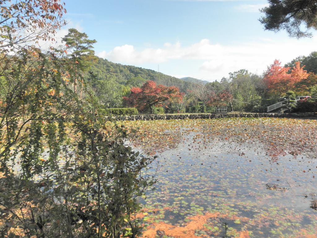 Maple Inagawa Hotel Kawabe  Екстериор снимка