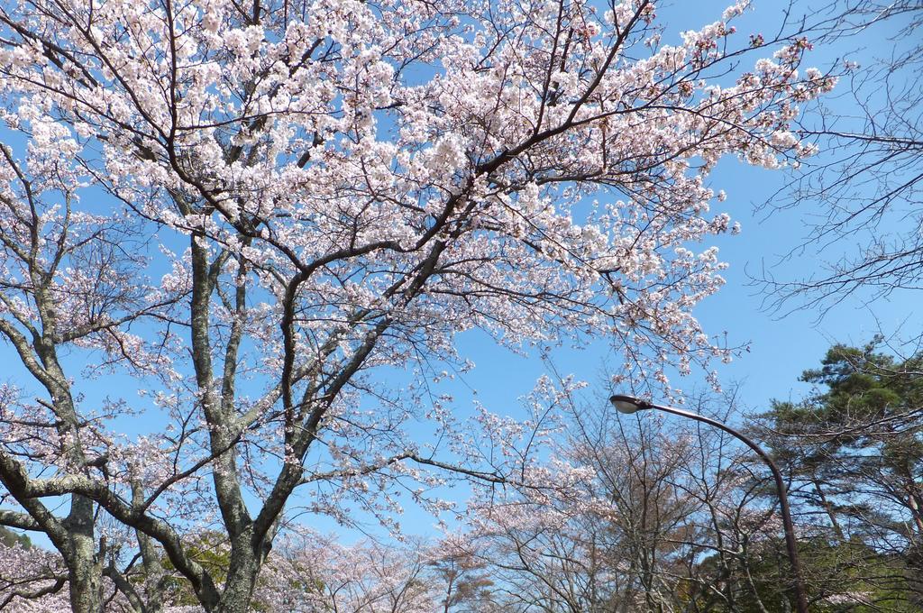 Maple Inagawa Hotel Kawabe  Екстериор снимка